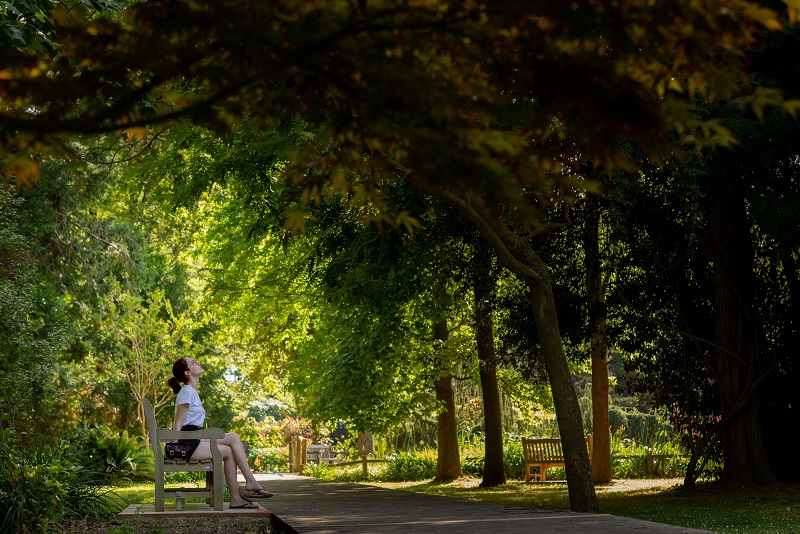 Jardin des Plantes Saint-Cyprien