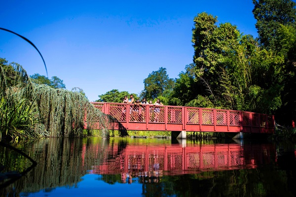 jardin des plantes saint-cyprien