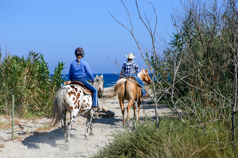 cheval