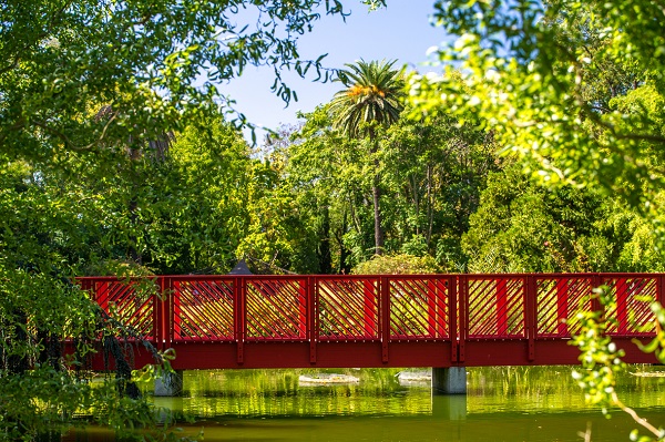 jardin des plantes st cyprien