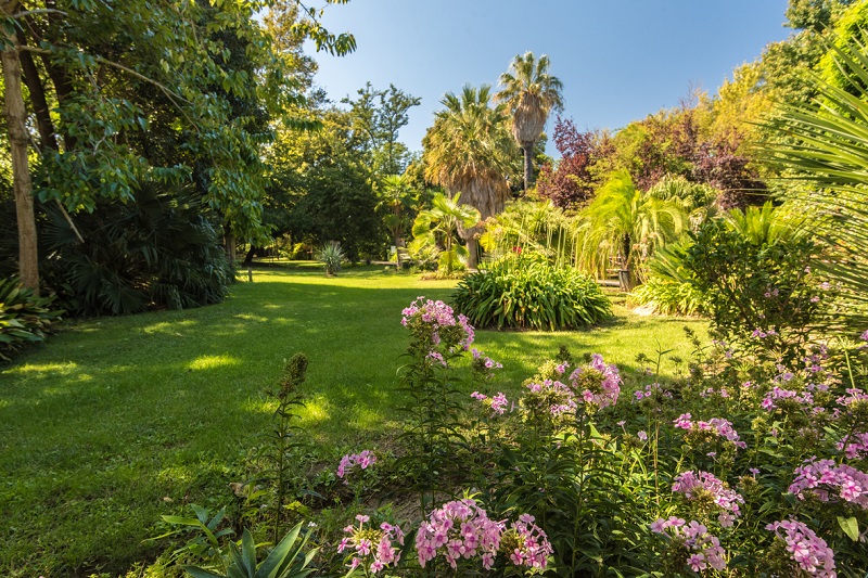 jardin des plantes st cyprien ©Laurent Lacombe