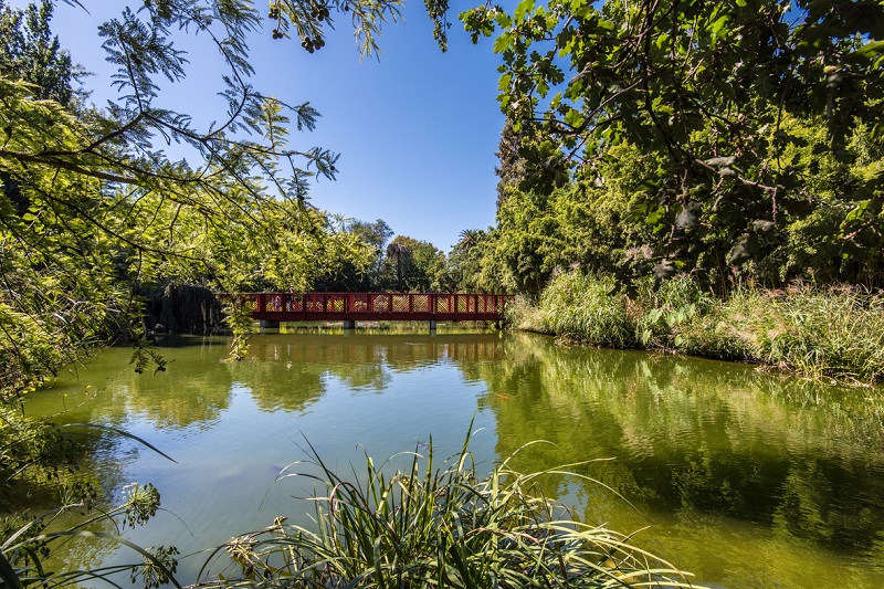 jardin des plantes saint cyprien