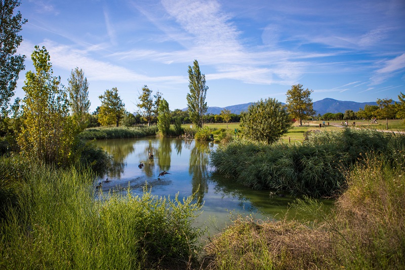 Parc de la Prade Saint-Cyprien