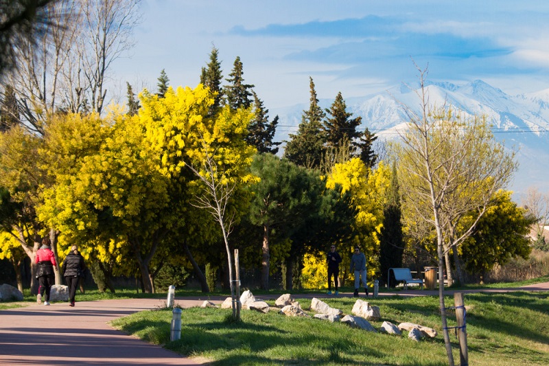 parc de la prade st cyprien