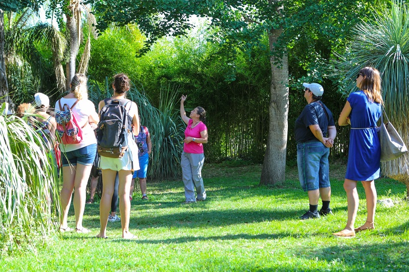 visite guidée jardin des plantes st cyprien