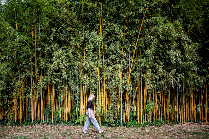 jardin des plantes st cyprien