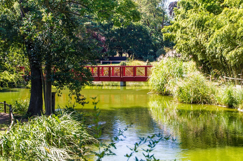 jardin des plantes st cyprien