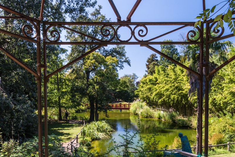 jardin des plantes