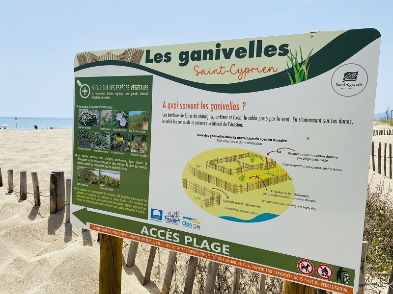 ganivelles plage st cyprien