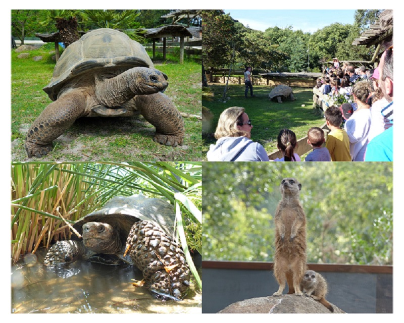 vallée des tortues