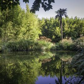Les Incontournables