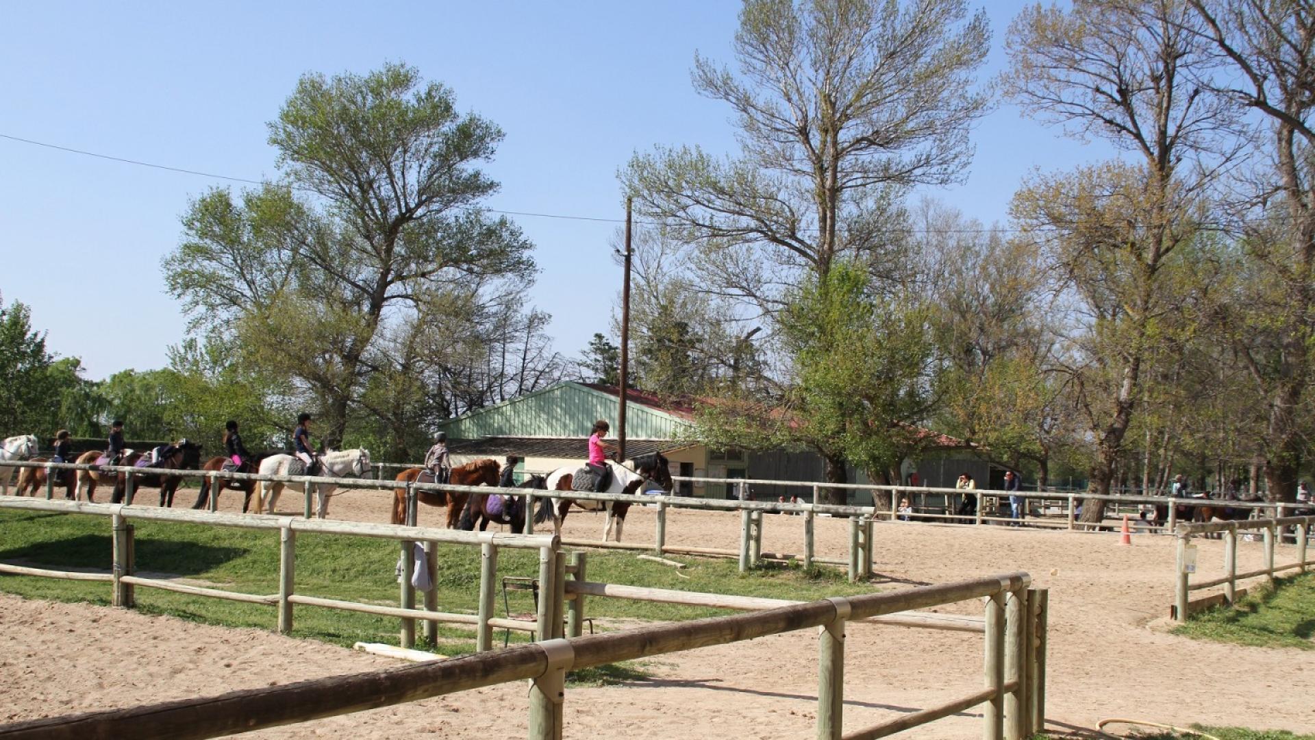 U.D.S.I.S EQUESTRE