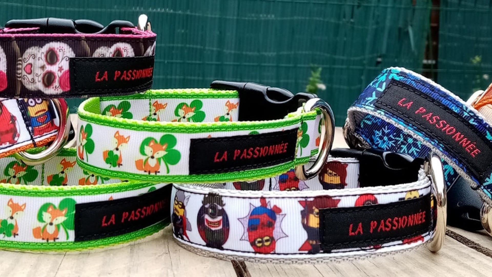 L'ILE DE LA CREATION