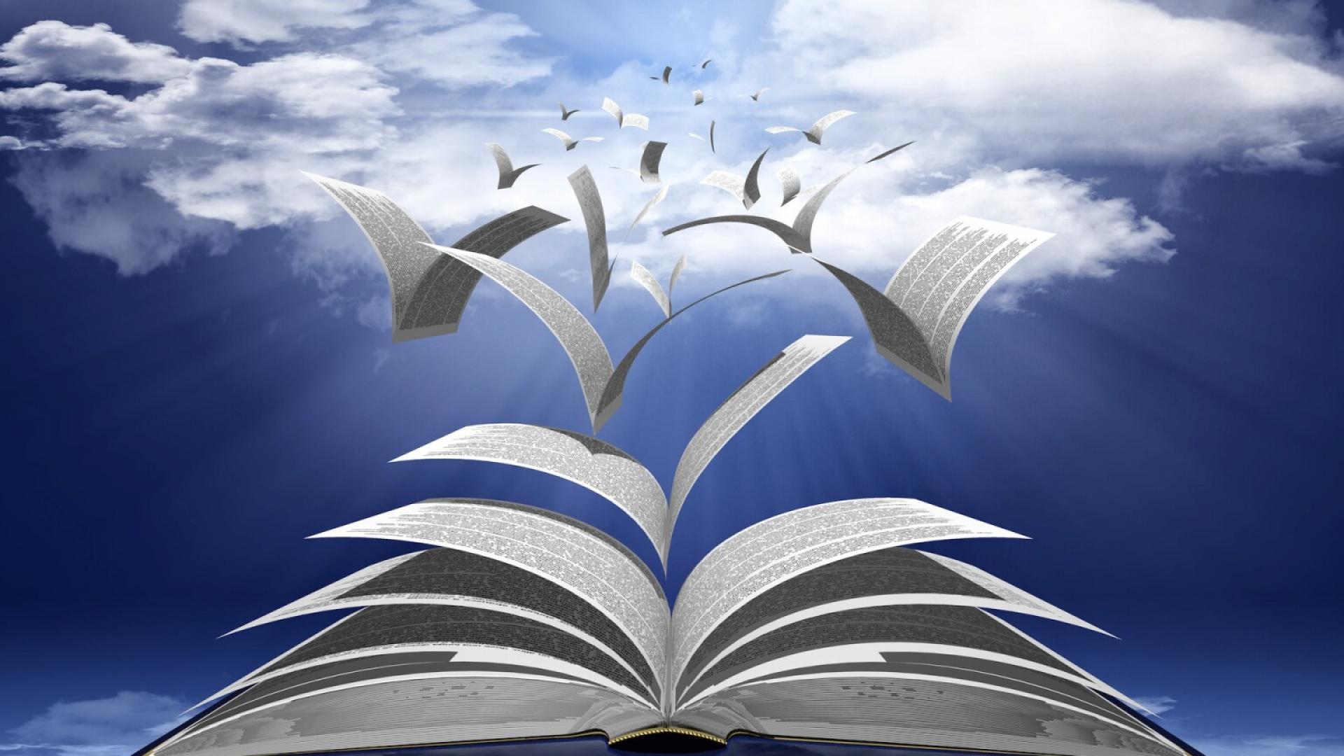 SALON DU LIVRE