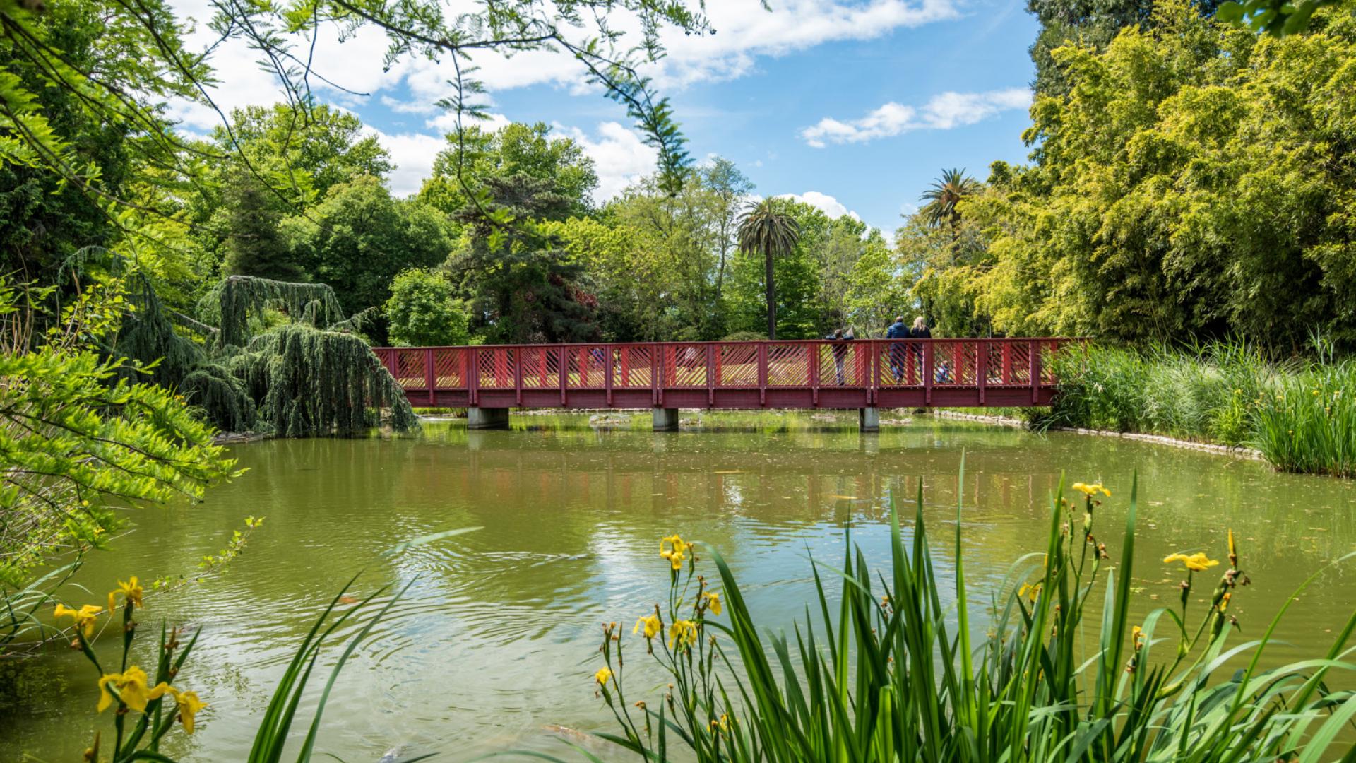 LE JARDIN DES PLANTES DES CAPELLANS