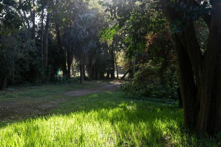 Jardin des plantes des Capellans