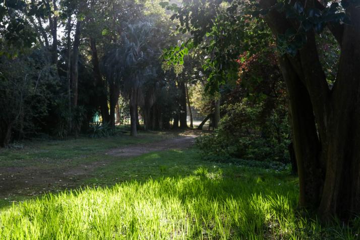 Jardin des plantes des Capellans 