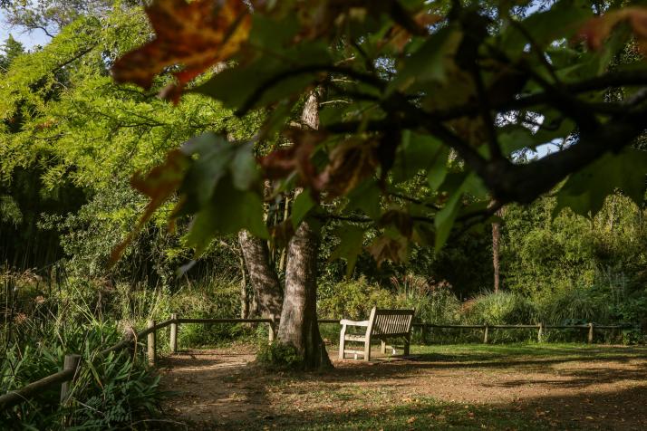 Jardin des plantes des Capellans