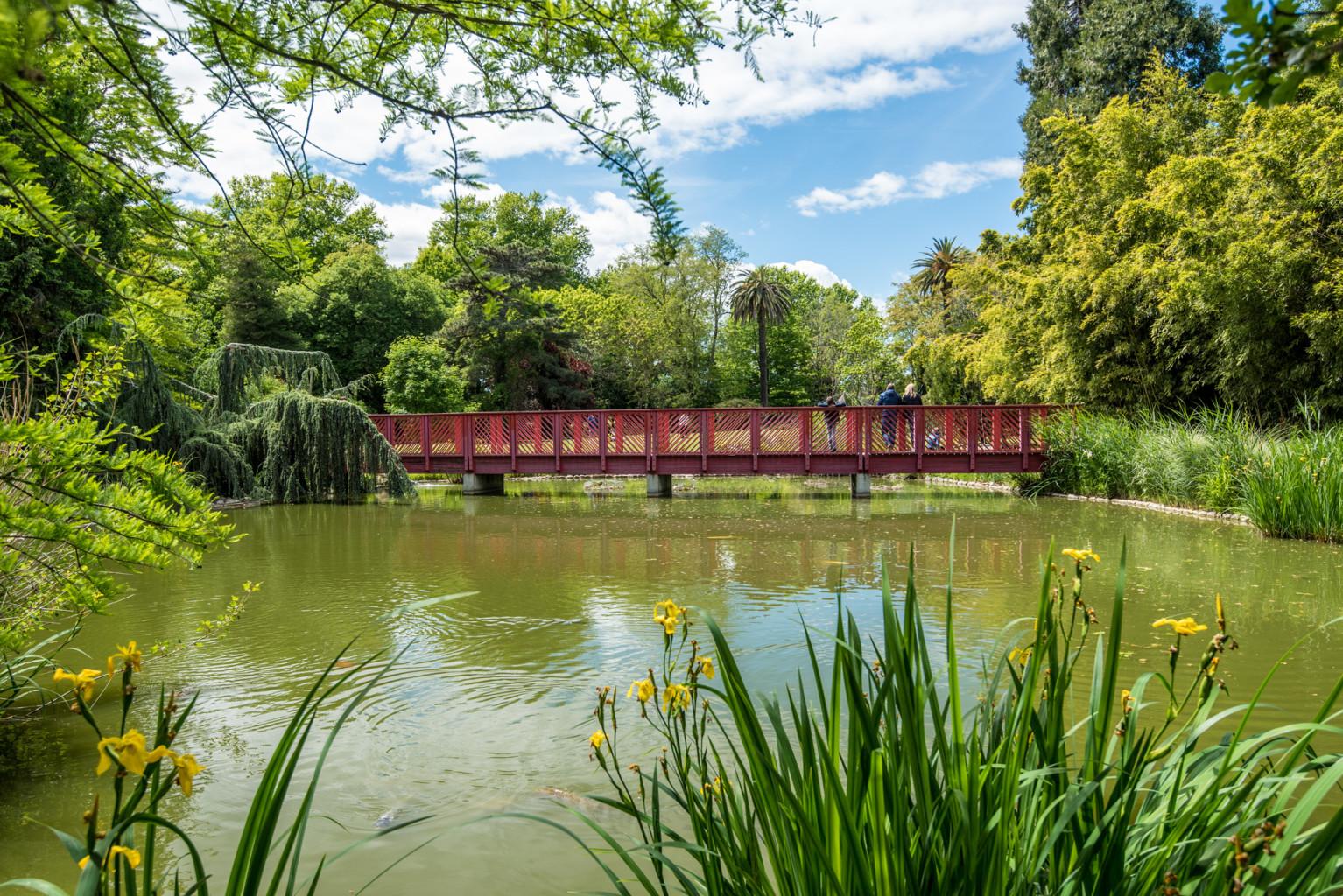  LE JARDIN  DES PLANTES Activit s culturelles Office de 