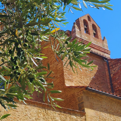 Balade gourmande à vélo - patrimoine historique de Saint-Cyprien