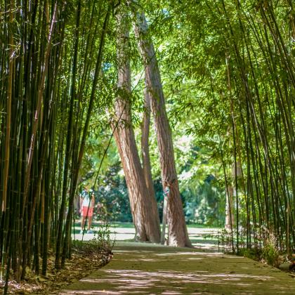 Après-midi au Jardin des Plantes