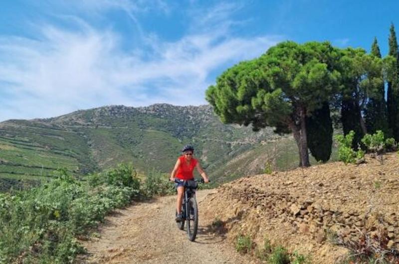Biketruckalbera Biketruckalbera