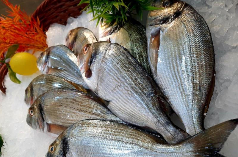 saveurs des mers saveurs des mers