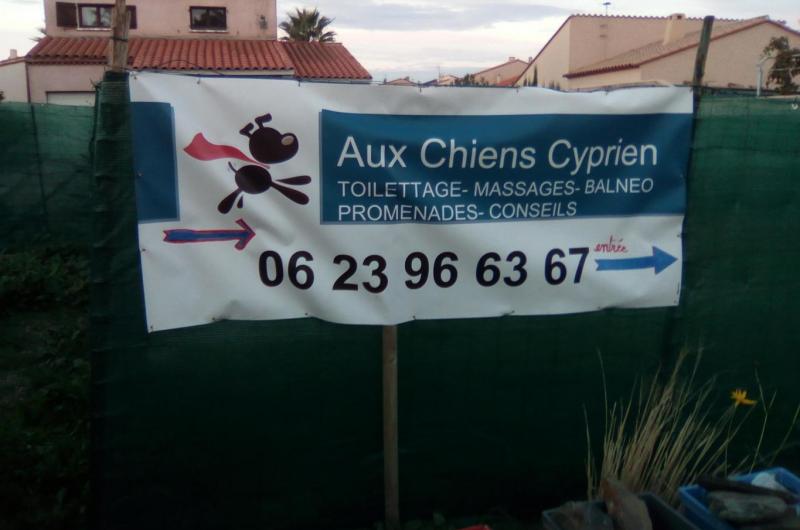 Aux Chiens Cyprien1 Aux Chiens Cyprien1