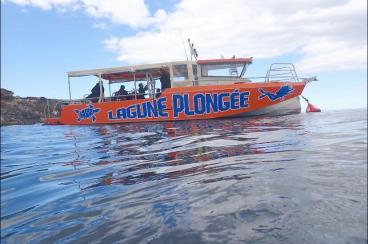 lagune plongee