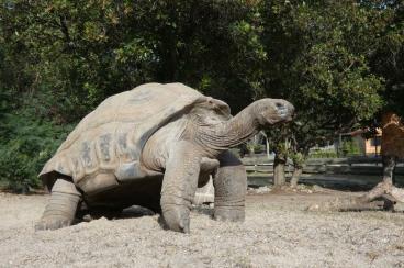 La Vallée des Tortues
